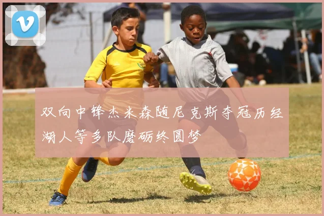双向中锋杰米森随尼克斯夺冠历经湖人等多队磨砺终圆梦