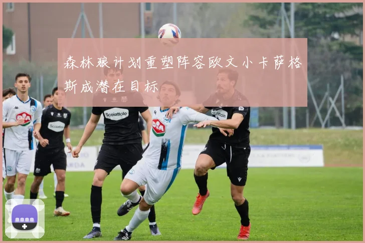 森林狼计划重塑阵容欧文小卡萨格斯成潜在目标